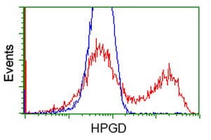 15-PGDH / HPGD Antibody (clone OTI2C10)