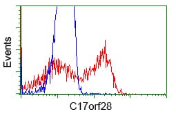 HID1 / C17orf28 Antibody (clone OTI2F4, Carrier-free)