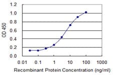 CYLC1 Antibody (clone 6F12)