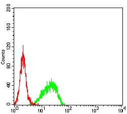 SMARCA1 / SWI Antibody (clone 2H7B8)
