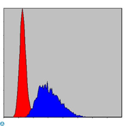 CASP8 / Caspase 8 Antibody