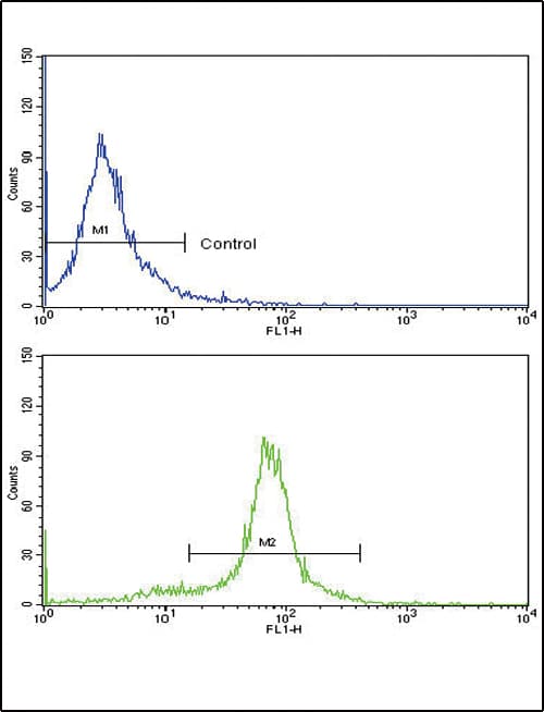PAX6 Antibody (aa183-210)