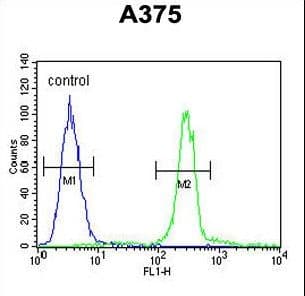 CTHRC1 Antibody (aa19-46)