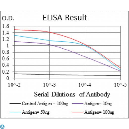 IL-1B / IL-1 Beta Antibody