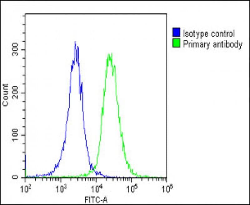 ATP1A4 Antibody (N-Terminus)