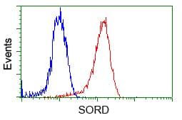 SORD / Sorbitol Dehydrogenase Antibody (clone OTI17E7)