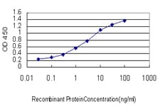 Monoclonal Mouse anti-Human Alpha-Fetoprotein Antibody (clone 1G7, IF, WB)