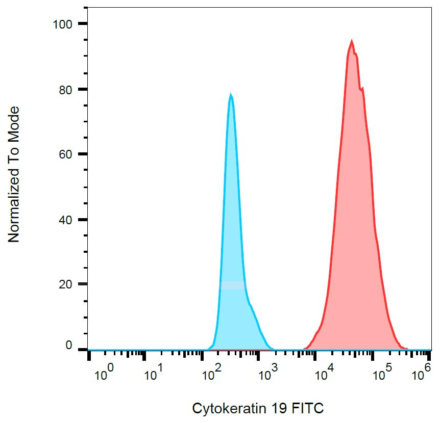 KRT19 / CK19 / Cytokeratin 19 Antibody (clone A53-B/A2, FITC)