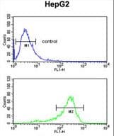 ACY3 Antibody (aa66-95)
