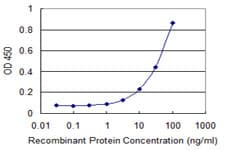 Monoclonal Mouse anti-Human ZKSCAN1 / ZNF36 Antibody (clone 2C7, WB)