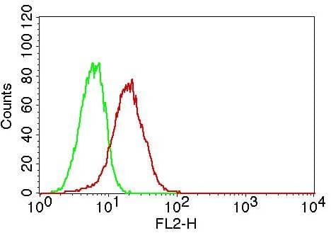 TLR6 Antibody (Azide-free)