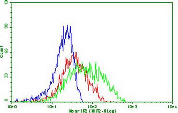 PDCD1 / CD279 / PD-1 Antibody (clone OTI17G9)