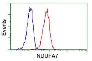 NDUFA7 Antibody (clone OTI5G6)