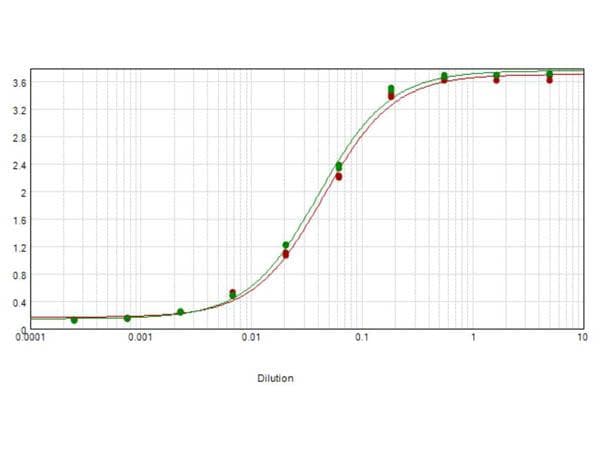 Cyanine Antibody