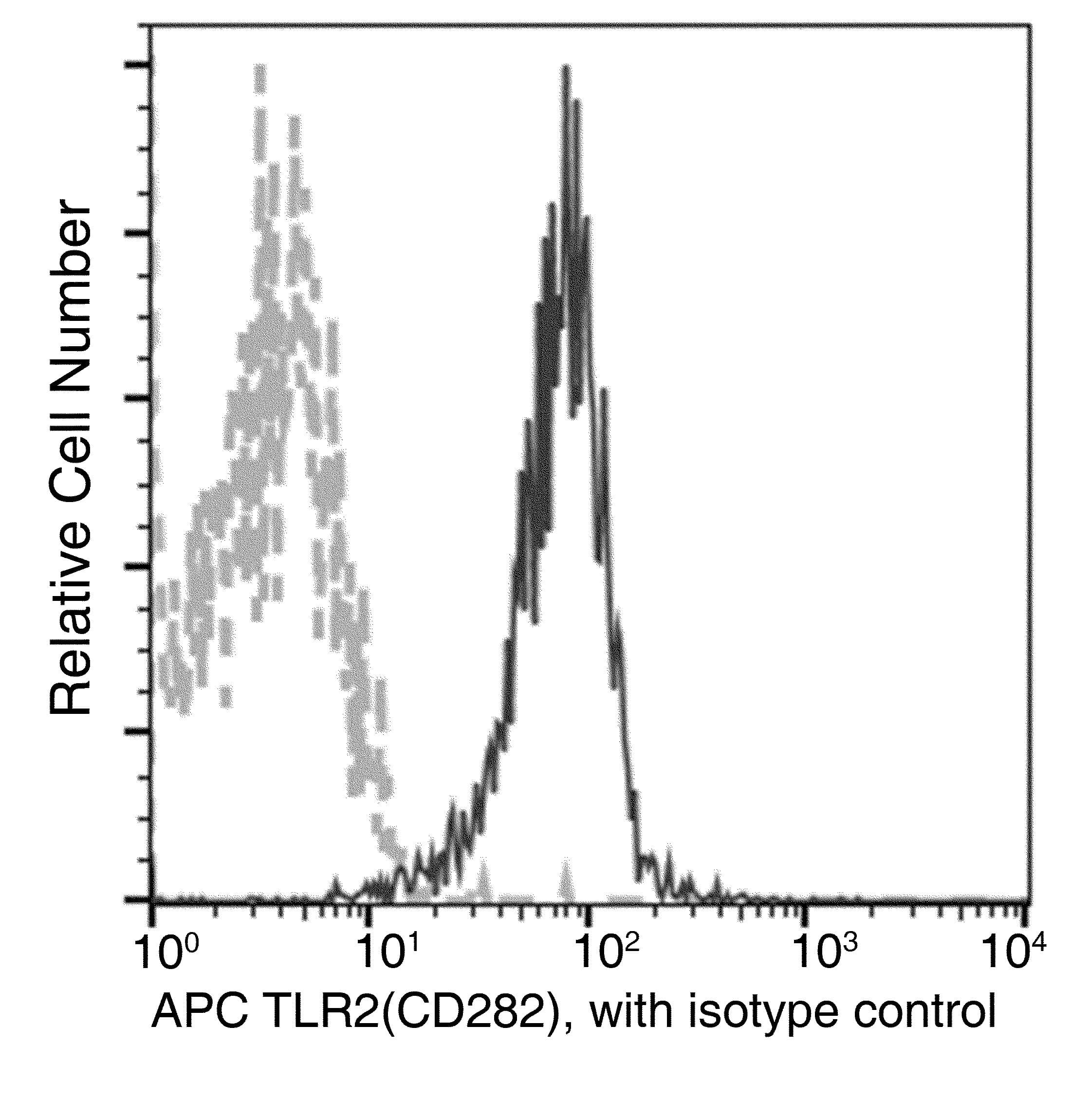 Monoclonal Rabbit anti-Human TLR2 Antibody (clone 067, APC)