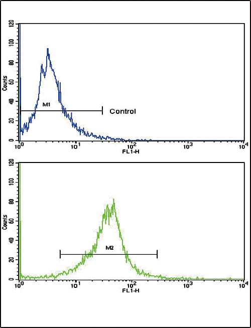 CACNG5 Antibody (aa192-220)