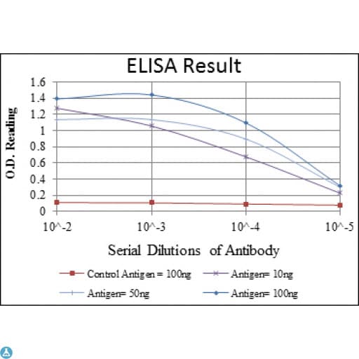 BID Antibody