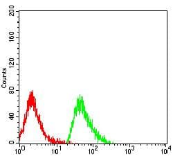Monoclonal Mouse anti-Human CLEC4D / MCL Antibody (clone 6E4B1, WB)