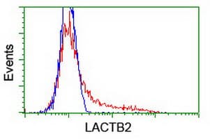 LACTB2 Antibody (clone OTI4E7)