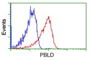 MAWDBP / PBLD Antibody (clone OTI7G5, Carrier-free)