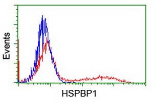 HSPBP1 Antibody (clone OTI3E1)