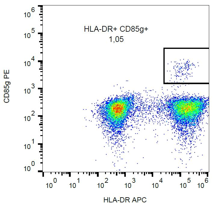Monoclonal Mouse anti-Human LILRA4 / ILT7 Antibody (clone 17G10.2, PE)
