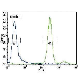 PathPlus™ Polyclonal Rabbit anti-Human HGF / Hepatocyte Growth Factor Antibody (aa521-554, IHC, WB)