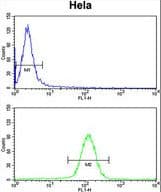 UHRF1 Antibody (aa229-257)