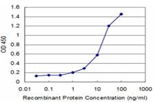 Monoclonal Mouse anti-Human WRB Antibody (clone 4D6, WB)