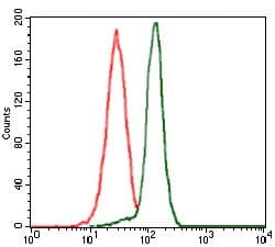 PPM1A / PP2CA Antibody (Amino Acid: 202-382, clone 7F12)