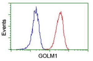 GOLM1 / GP73 / GOLPH2 Antibody (clone OTI2D6)
