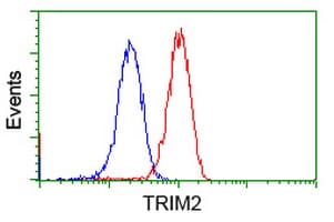 Monoclonal Mouse anti-Human KIAA0517 / TRIM2 Antibody (clone OTI2B10, WB)