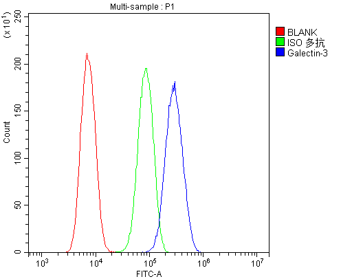 LGALS3 / Galectin 3 Antibody (aa139-250)