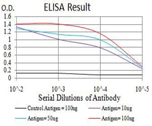 ATL1 Antibody (clone 1F6B12)