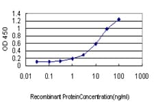 Monoclonal Mouse anti-Human CSE1L Antibody (clone 2C10, IF, WB)
