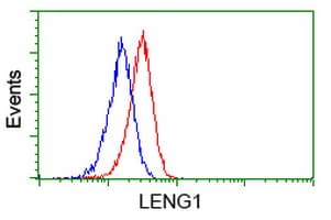 LENG1 Antibody (clone OTI1E6, Carrier-free)