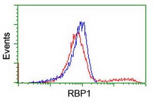 RBP1 / CRBP Antibody (clone 2.00E+01, Carrier-free)