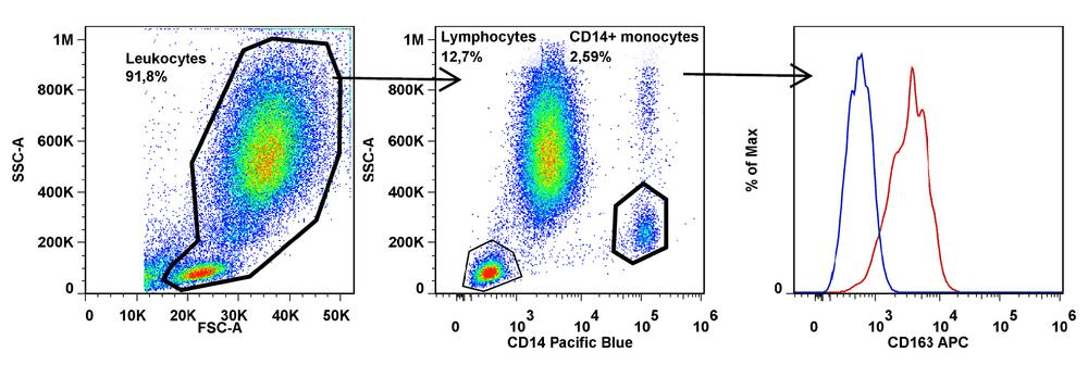 CD163 Antibody (clone GHI/61, APC)