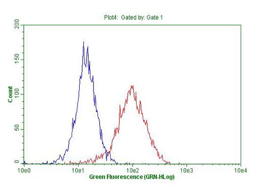 Monoclonal Mouse anti-Human ABCB1 / MDR1 / P Glycoprotein Antibody (clone OTI16D9, aa995-1280, IHC, WB)