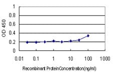 IHC-plus™ Monoclonal Mouse anti-Human CD58 Antibody (clone 2D11-B10, IHC, IF, WB)