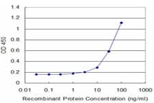 GAP43 Antibody (clone 3C11)