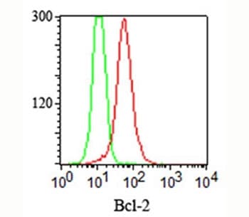 BCL2 / Bcl-2 Antibody (aa41-54, clone 124, Ready-to-Use)