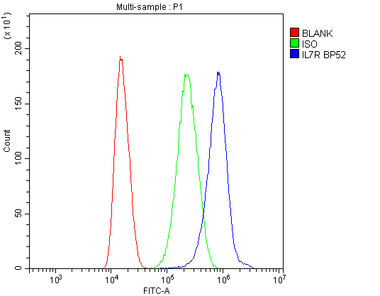 Polyclonal Rabbit anti-Human IL7R / CD127 Antibody (WB)