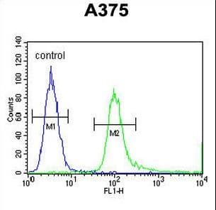 SPDYE3 Antibody (aa455-483)