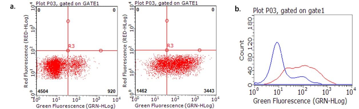 TNFRSF18 / GITR Antibody (aa26-162, clone OTI4A9, Carrier-free)