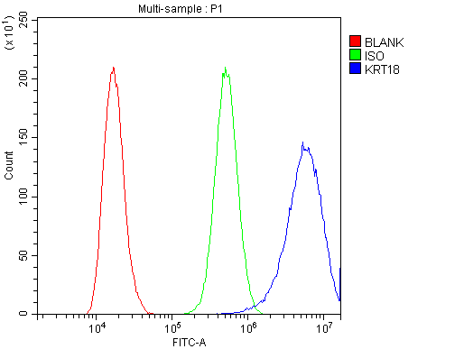 KRT18 / CK18 / Cytokeratin 18 Antibody