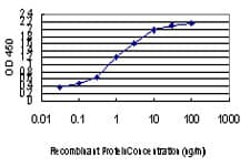 MYBPC1 Antibody (clone 3G4)