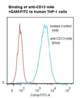 ANPEP / CD13 Antibody (clone 22A5, Azide-free)