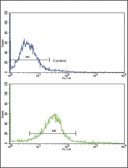 EDA / Ectodysplasin A Antibody (aa47-76)
