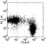 SPN / CD43 Antibody (clone R2/60, FITC)